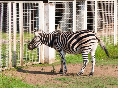 Batumi City Zoo — Zoo, rated 3.5/5