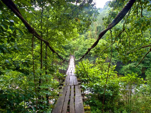 Mtirala National Park — National park, rated 4.7/5