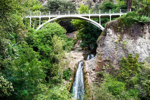 National Botanical Garden — Garden, rated 4.6/5