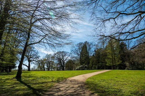 Knoops Park in ব্রেমেন — পার্ক