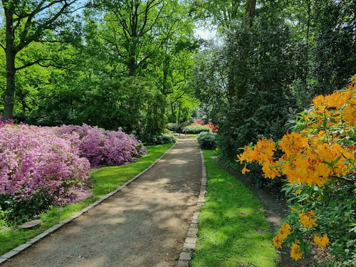 Rhododendron-Park Bremen in ব্রেমেন — পার্ক