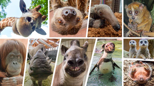 Dortmund Zoo — Zoo, rated 4/5