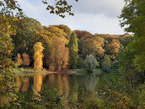 Rombergpark Botanical Garden — Vrt, rated 4.7/5