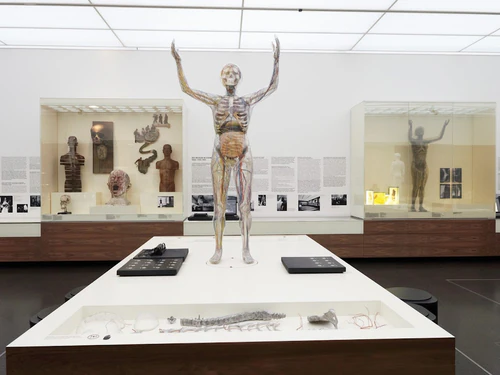 German Hygiene Museum — মিউজিয়াম, rated 4.5/5