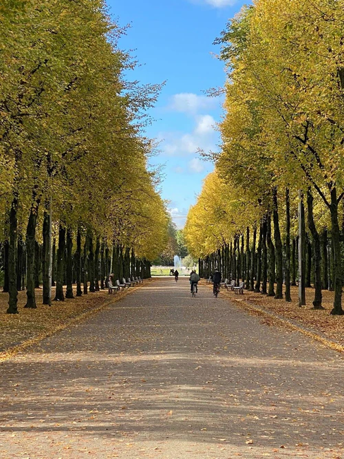 Hofgarten in ডুসেলডর্ফ — পার্ক