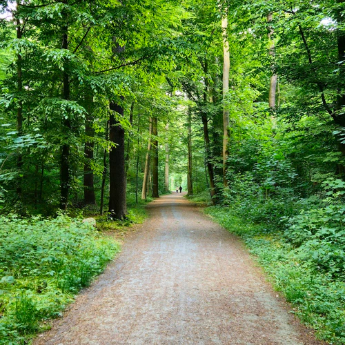 Eilenriede City Forest — পার্ক, rated 4.8/5
