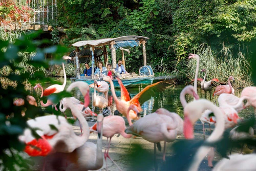 Erlebnis-Zoo Hannover — Zoo, rated 4.5/5