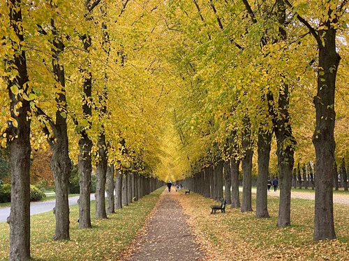 Georgengarten — পার্ক, rated 4.7/5