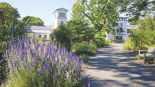 Botanische Tuin Leipzig — Tuin, rated 4.5/5