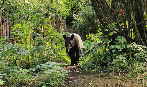 Zoo Leipzig in Leipzig — Zoo