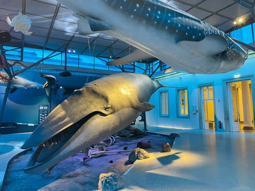 Naturhistorisches Museum Stuttgart, Schloss Rosenstein in Stuttgart — Castle