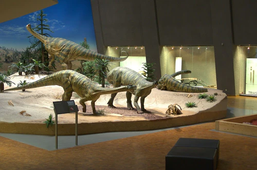 Staatliche Naturhistorische Museum Stuttgart in Stuttgart — Museum