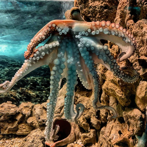 Corfu Aquarium — Aquarium, rated 4.5/5