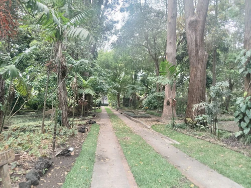 Jardín Botánico de Guatemala — Trädgård, rated 4.5/5