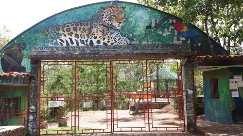 Metropolitan Zoo Rosy Walther — Zoo, rated 4.3/5