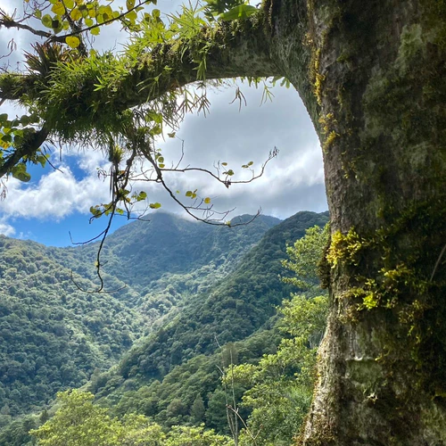 Parque Nacional La Tigra — Doğal güzellik, rated 4.8/5