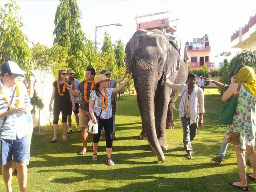 EleJungle Olifantenrit & Activiteiten in Amer Jaipur in Jaipur — Zoo