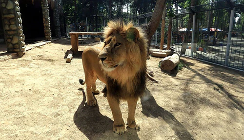 حديقة حيوانات إرَام in طهران — Zoo