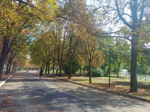 Giardini Margherita in Bologna — Park