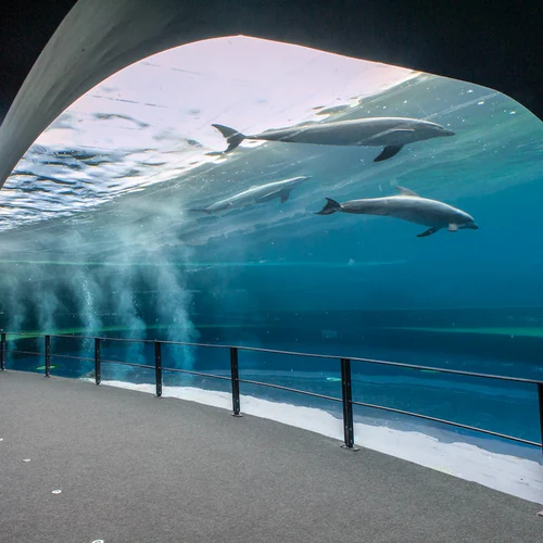 Acquario di Genova — Aquarium, rated 4.4/5