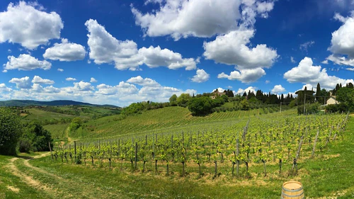 Azienda Agricola La Lastra — Winery, rated 5/5