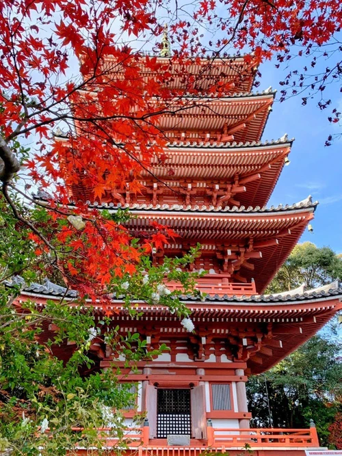 Chikurin Temple — Religious site, rated 4.4/5