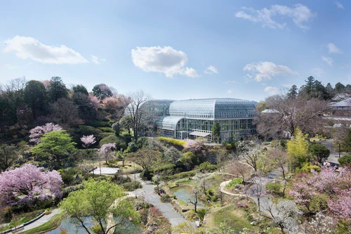 The Kochi Prefectural Makino Botanical Garden — Garden, rated 4.5/5