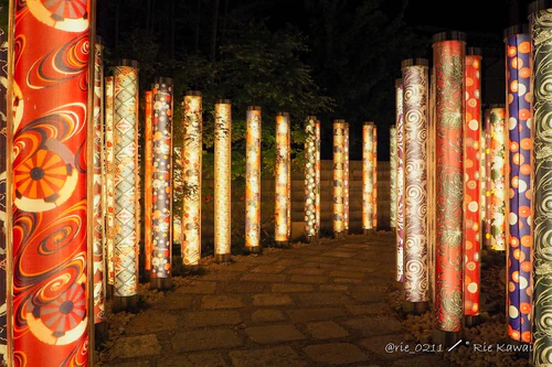 Kimono Forest, rated 4.2/5