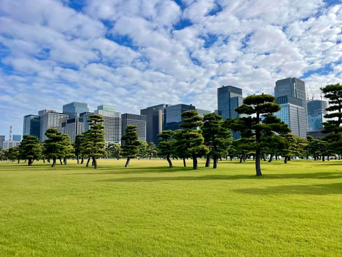 Kokyo Gaien National Garden — Nationalpark, rated 4.4/5
