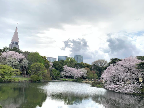 Shinjuku Gyoen National Garden in Tokyo — Tuin