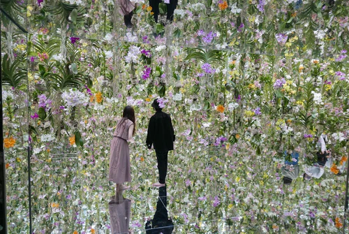 teamLab Planets TOKYO DMM in Tokyo — Attractiepark