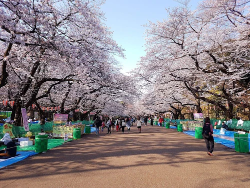 Ueno Park — Park, rated 4.4/5