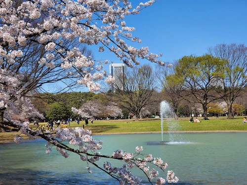 Yoyogi Park — Park, rated 4.4/5
