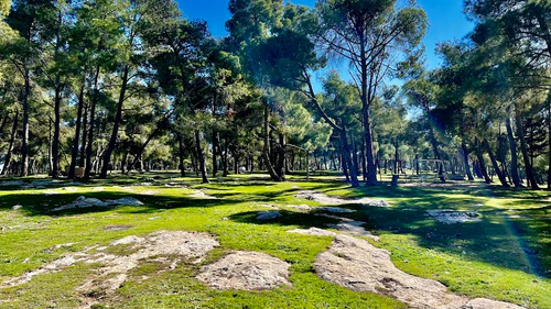 Parco Nazionale di Amman — Parco nazionale, rated 4/5