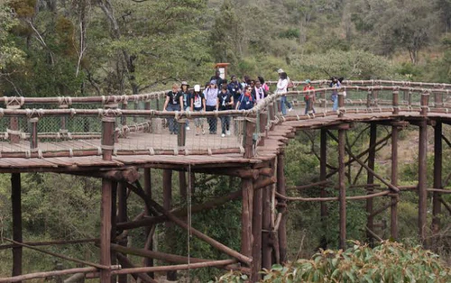 Nairobi Safari Walk in Nairobi — Zoo