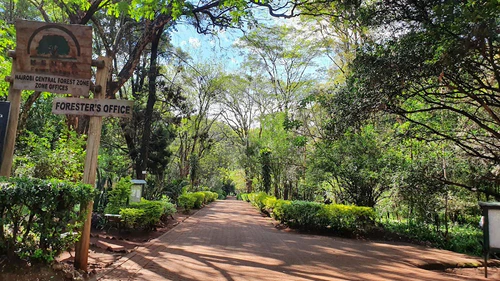 The Nairobi Arboretum in Nairobi — Park