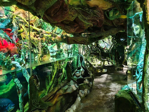 Latgalsko zoo in Daugavpils — Zoo
