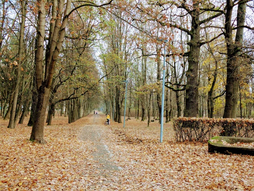 Park hrastove šume in Kaunas — Park