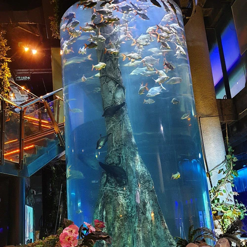 Aquaria KLCC in Kuala Lumpur — Aquarium