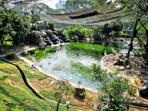 KL Bird Park in Kuala Lumpur — Zoo