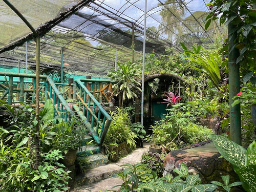 Park Motyli Kuala Lumpur — Park, rated 4.2/5