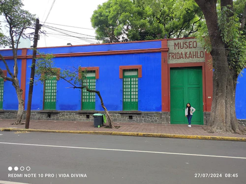 Frida Kahlo Museum — মিউজিয়াম, rated 4.5/5