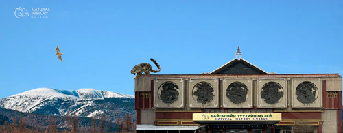 Museu Nacional de Ciências Naturais da Mongólia — Museu, rated 4.3/5