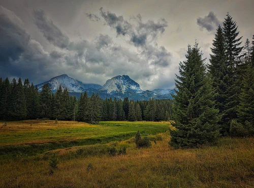 Durmitor Nacionalni park in Podgorica — Nacionalni park