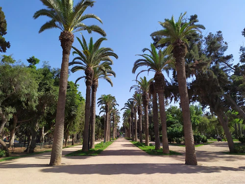 Parc Murdoch in Casablanca — পার্ক