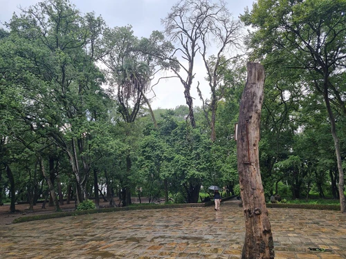 Bhandarkhal Jungle — Park, rated 4.2/5