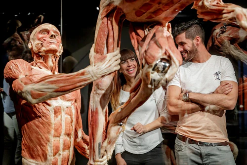 BODY WORLDS Amsterdam — Muzej, rated 4.5/5