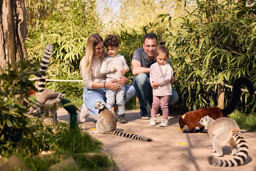 Eindhoven Zoo (voorheen Dierenrijk) in 엔트호펜 — Zoo