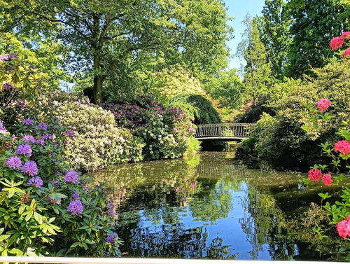 Arboretum Trompenburg — Vrt, rated 4.6/5