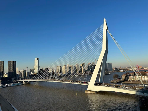 Erasmusbrug in Rotterdam — Znamenitost